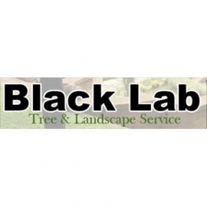 Photo of Black Lab Tree & Landscape Services