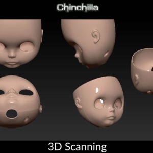 Photo of Chinchilla