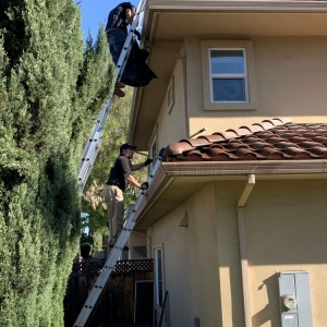 Photo of Happy Service Care