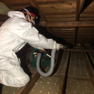 Photo of Attic Crew