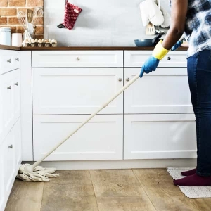 Boston Maid Spotless
