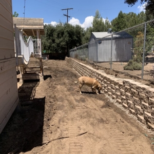 Photo of Burgio Landscape Services