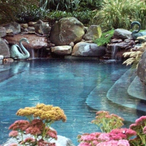 Photo of Creative Land Design