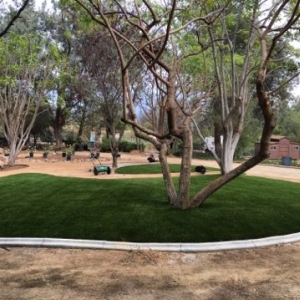 Photo of Action Landscape Contractor