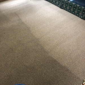 Photo of Eden Carpet Cleaning