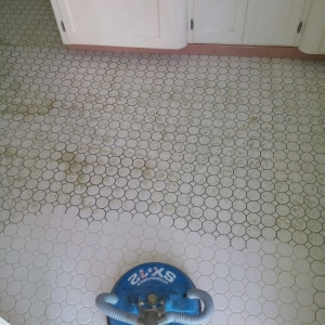 Photo of Eden Carpet Cleaning