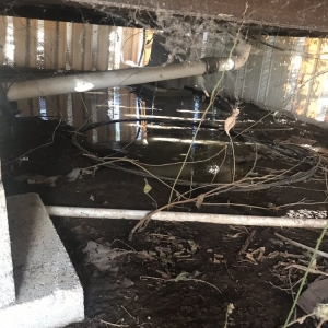 Photo of Brandon's Plumbing