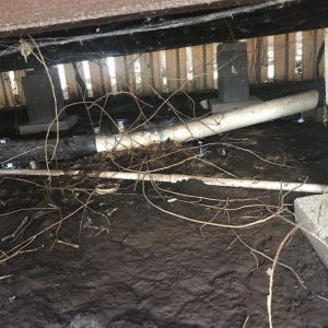 Photo of Brandon's Plumbing