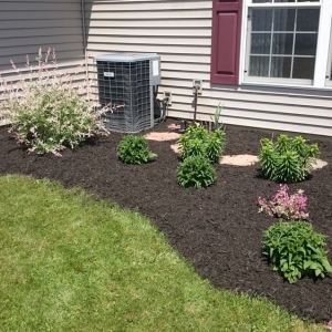 Photo of Green Stripe Enterprises