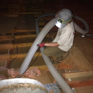 Photo of Universal Insulation Doctor