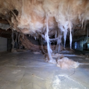 Photo of Universal Insulation Doctor