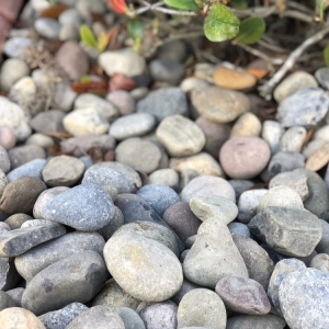 Jacksonville Stone Plus