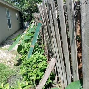 Photo of Unique Landscape and Design