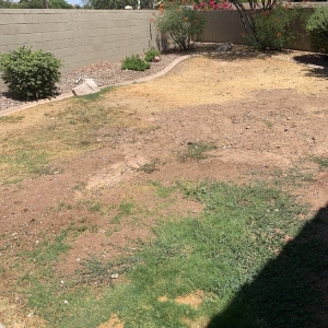 Photo of Unique Landscape and Design