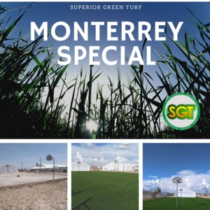 Photo of Superior Green Turf