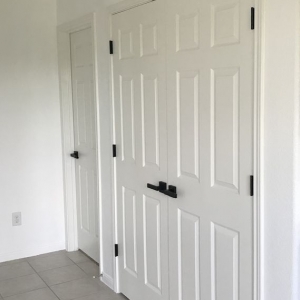 Leander Picasso Painting Services