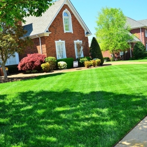 Photo of Ritzel Lawn Care