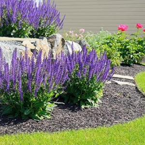 Photo of Ritzel Lawn Care