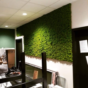 Photo of Creative Gardens & More