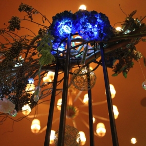 Photo of The White Orchid Florist