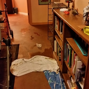 Photo of First Response Water Damage Restoration