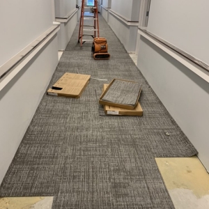 Chelsea Will Pro Contruction