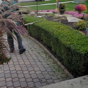 Photo of Dynamic Lawn & Landscape