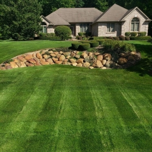 Photo of Dynamic Lawn & Landscape