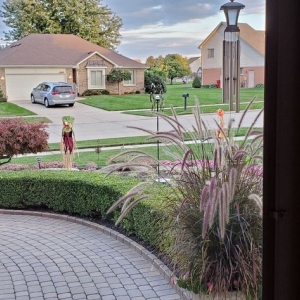 Photo of Dynamic Lawn & Landscape