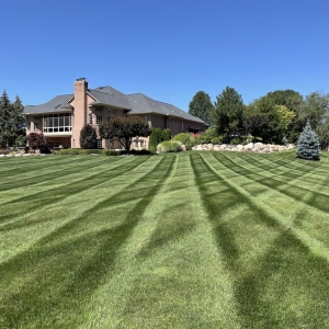 Photo of Dynamic Lawn & Landscape