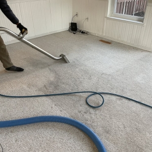 Photo of Professional Carpet Cleaning Plus