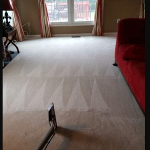 Photo of Professional Carpet Cleaning Plus