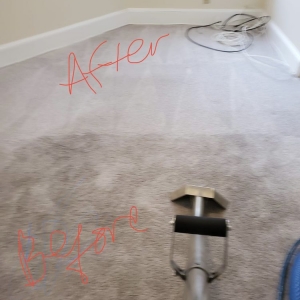 Photo of Professional Carpet Cleaning Plus