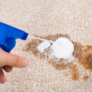 Photo of Professional Carpet Cleaning Plus