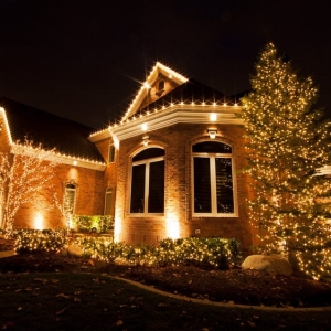 Photo of Mr Christmas Lights