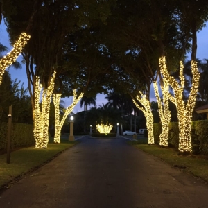 Photo of Mr Christmas Lights