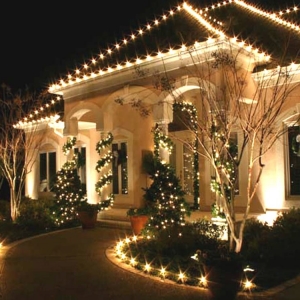Photo of Mr Christmas Lights