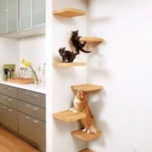 Photo of Home Quality Maids