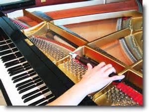 Photo of Sodo Pianos