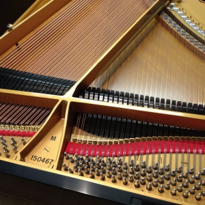 Photo of Sodo Pianos