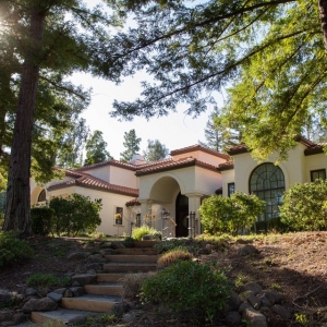 Photo of Sunwest Painting
