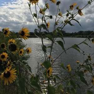 Photo of Falcon Lakes Golf Club