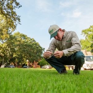 Photo of TruGreen Lawn Care