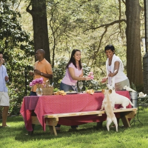 Photo of TruGreen Lawn Care