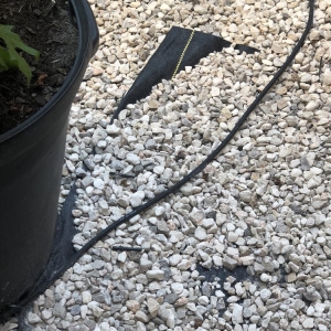 Photo of Byron's Landscaping