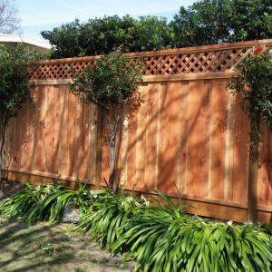 Photo of Newark Fence