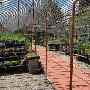 Photo of Goldner Walsh Garden & Home