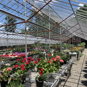 Photo of Goldner Walsh Garden & Home