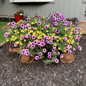 Photo of Goldner Walsh Garden & Home