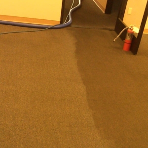 Photo of Steamex Carpet Cleaning